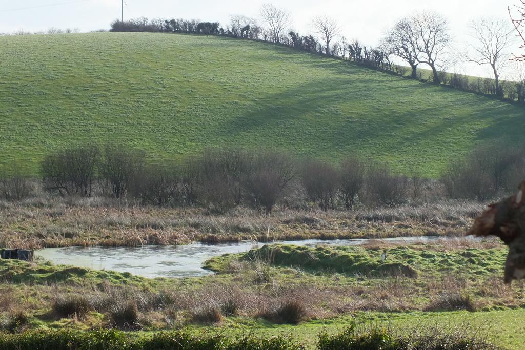 Barnwell Farm Cottages Corn Cottage Greyabbey Szoba fotó